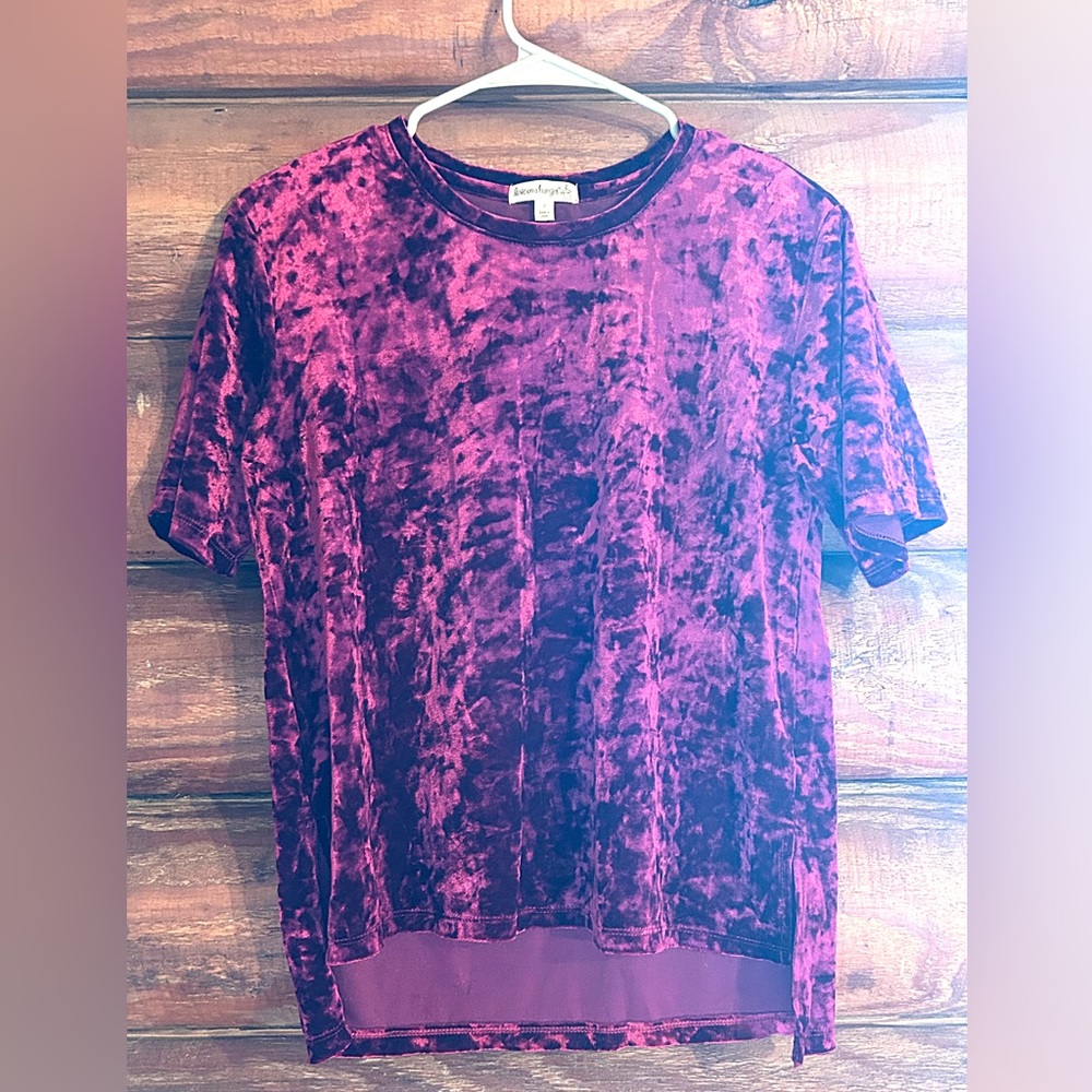 Reddish Pink Shiny Soft Velvet Top